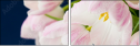 75628486