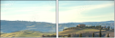 75685044