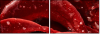 75798905