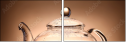 77315677