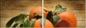 78022660