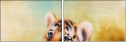 78189357