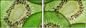 78577804