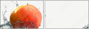 79914486