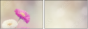 84071220