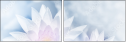 91681750