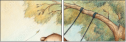 94443803