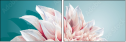 99688374