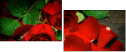 100197651
