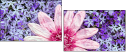 100402580