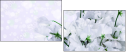 100410214