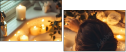 1023175868