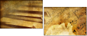 10441397