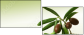 11107716