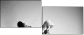 11330269