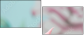 12612957