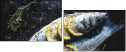129092873