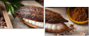 129146737