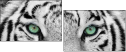 13468757