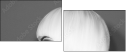 135089232