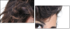 13653678