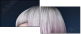 139671256