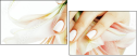 152237593