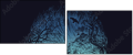 164648563