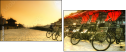 16482031