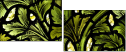 16903361