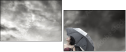 16975398