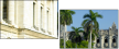 18153954