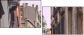 20333502