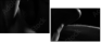 20350082