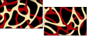 20655460