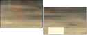 21155951