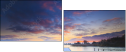 21172398