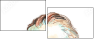 212484110