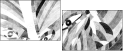 21369236