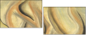 21450824