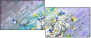 21607065