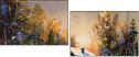 21655913