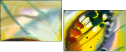 21683658