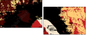 21717214