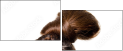21787769