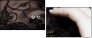 21991281