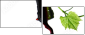 22748445