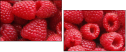 22816665