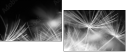 23180311