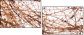 23639472